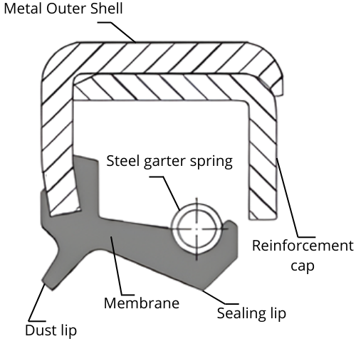 Oil Seal TA sideview - TA rotary shaft seal with a metal- OD & reinforcement cap, a dust lip and a spring-loaded main lip. 